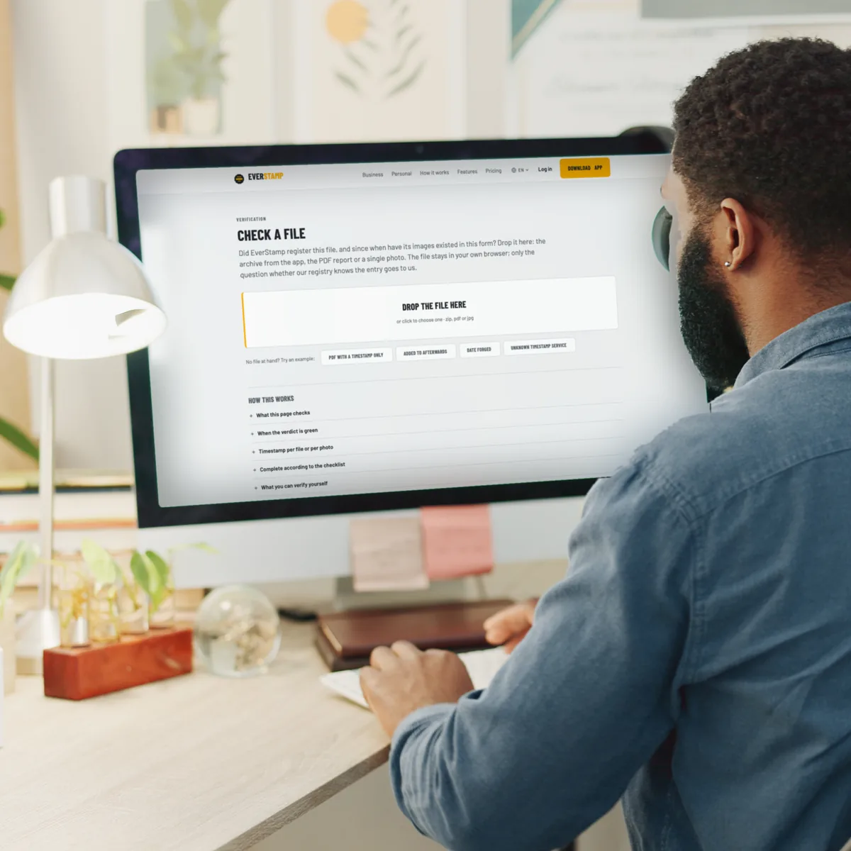 Checking a file on a verification page in the browser